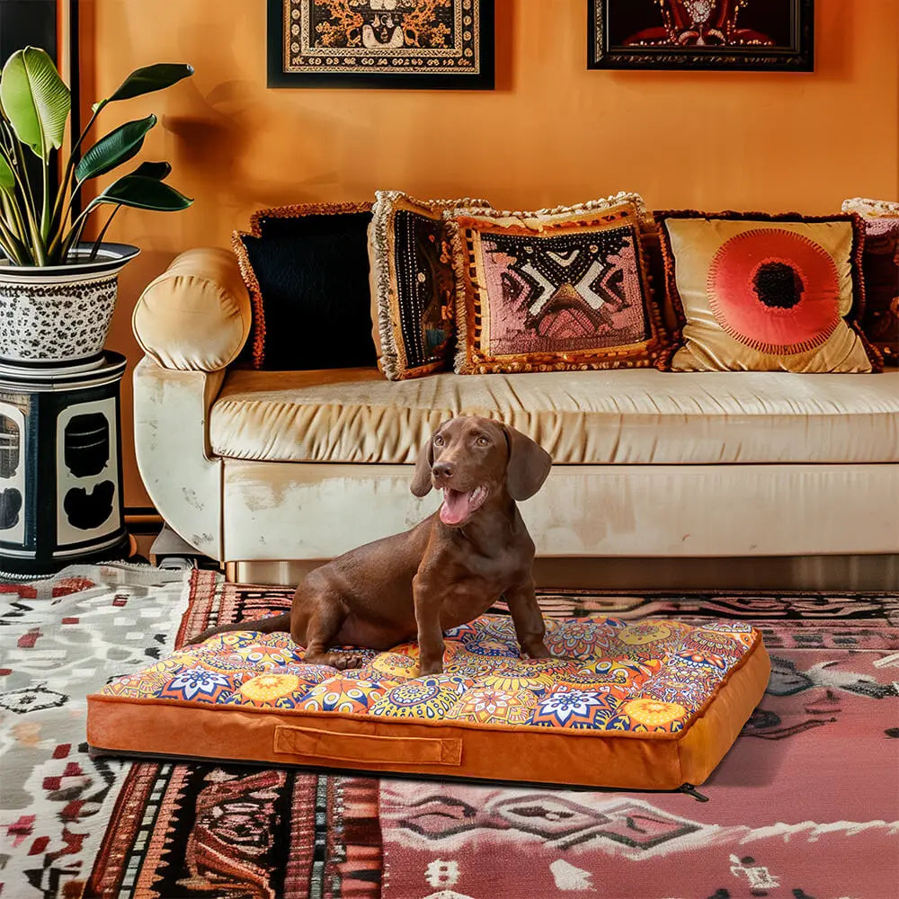 Cama Ortopédica Pet com Capa Removível e Espuma Espessa